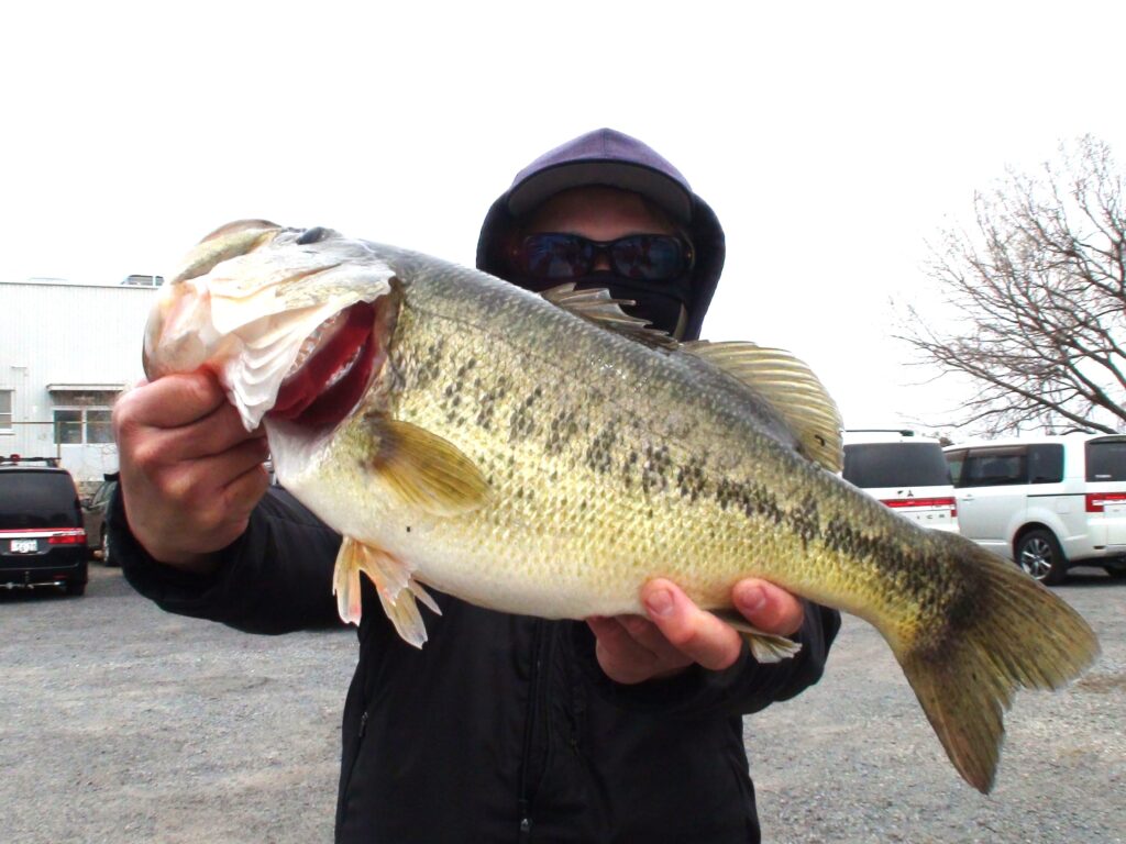 ビワコオープン　ウエイン