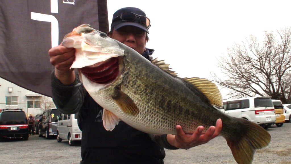 ビワコオープン　ウエイン